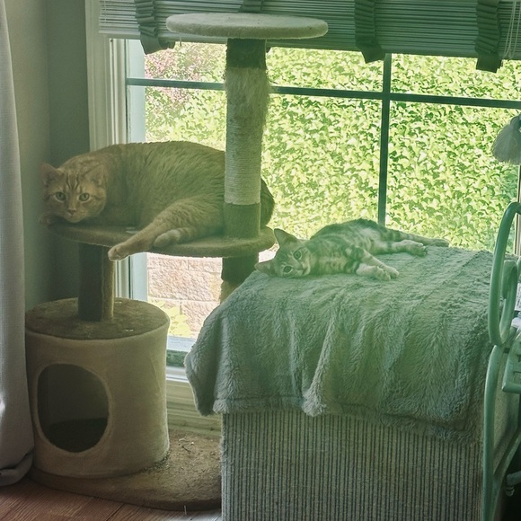 Oh heyyyy it’s Ray! - Picture 7 of 7